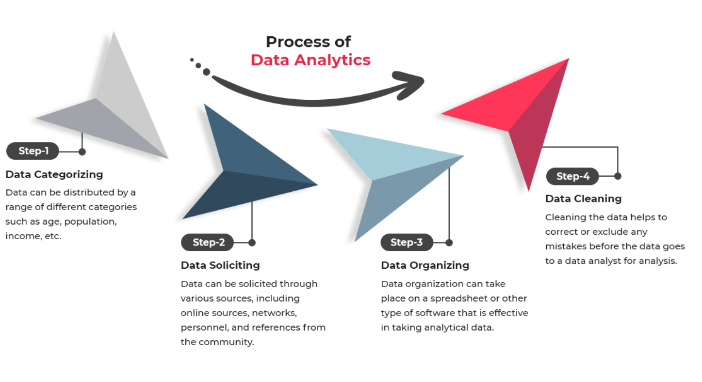 Data Analyst