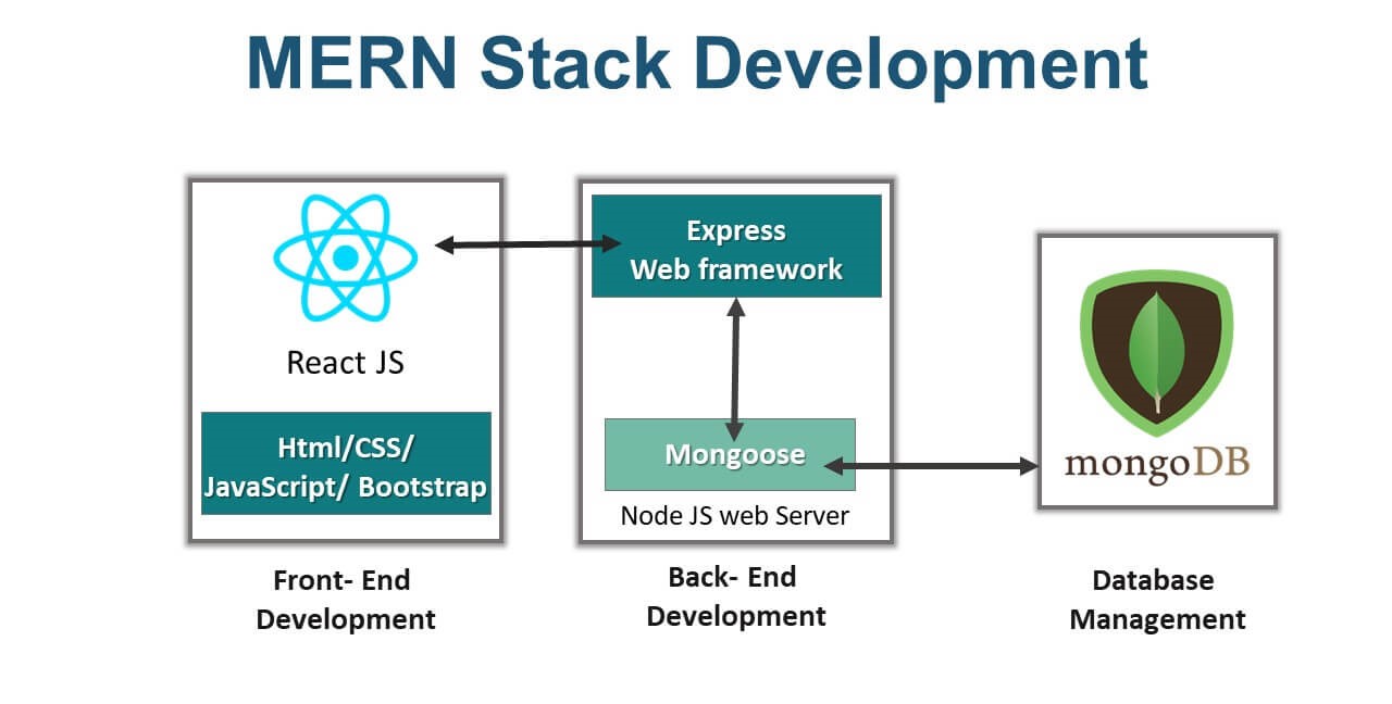 mern stack development